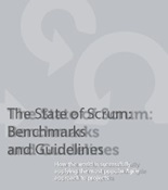 Rapport: The State of Scrum - Benchmarks and Guidelines